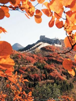 ���_�X�p�t