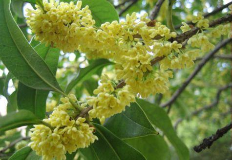 �U�͈@����