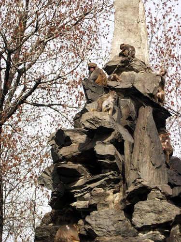 ����@��ɽ