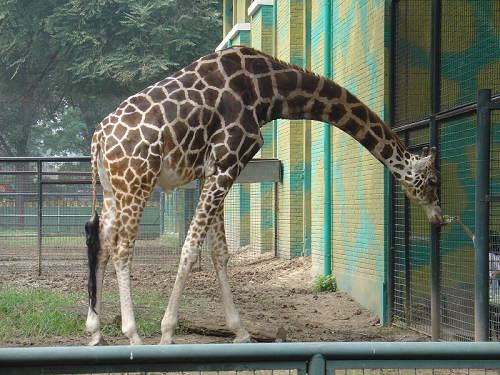 ��������@