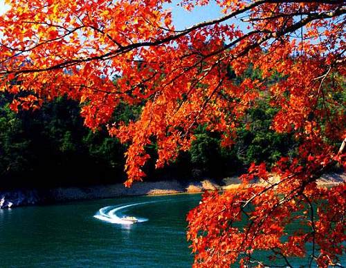 �p�t��������(d��ng)