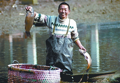 ��ɽ�����؁���(�M�D)