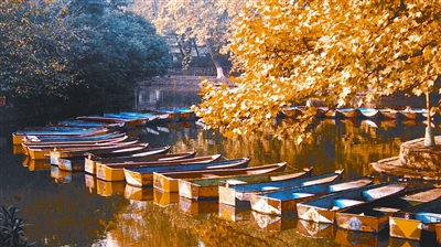 ��ɽ�����؁���(�M�D)