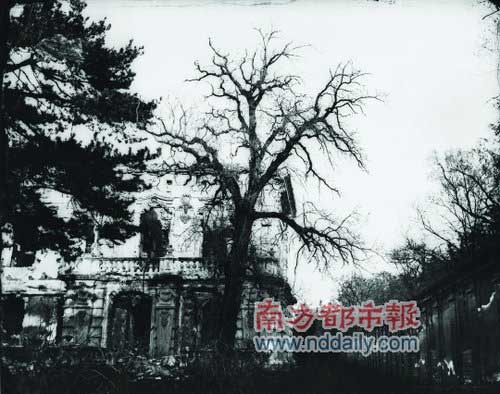 殘園的“木劫”“石劫”與“土劫”