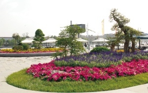 ���������G�����^���´�⣬��򞳹��@���ɣ��ɞ��������e�ĺ�ȥ̎��