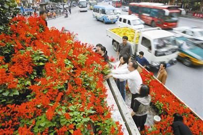 �������䮔��ɽ�Gɫ���g��