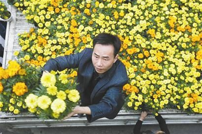 �������䮔��ɽ�Gɫ���g��