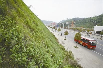 �������䮔��ɽ�Gɫ���g��