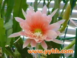 ��������ɻ����B�o��������