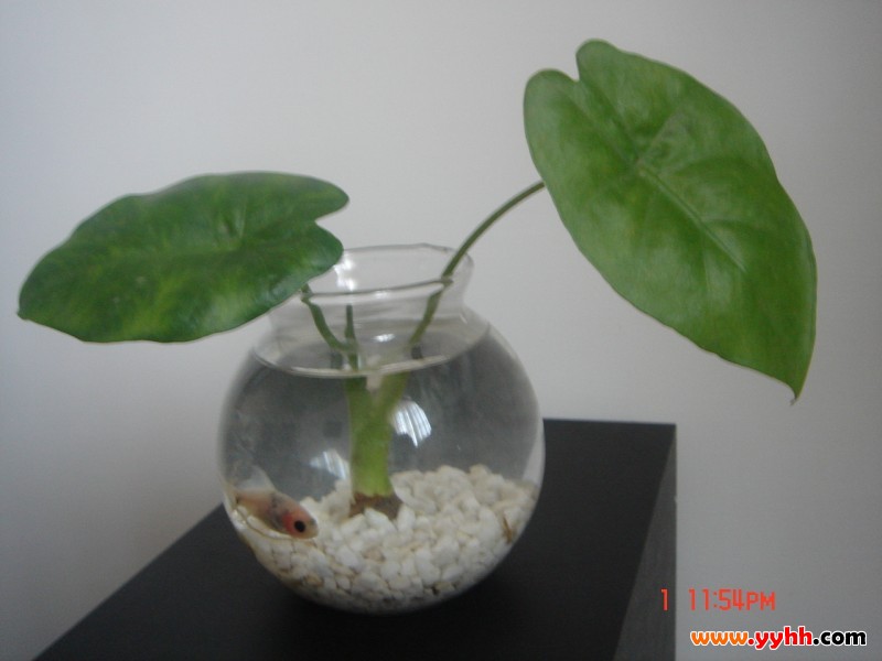 ��ˮ�^�����Bֳ���� ˮ���ˮ�^�����B�o��������