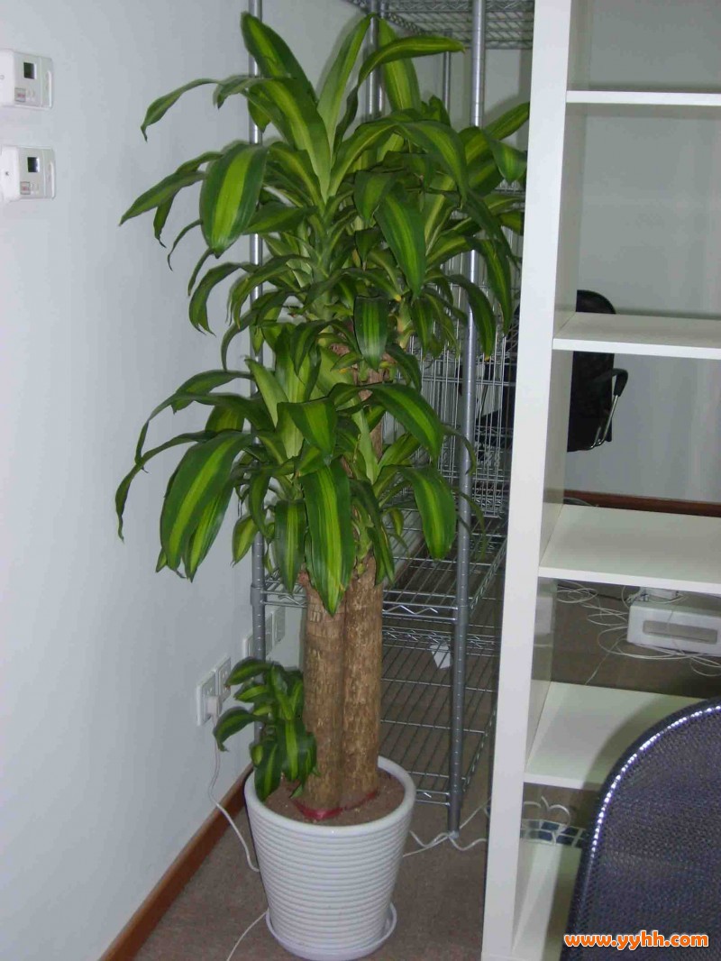 ���԰����F�ļ�ͥ�B�o��������