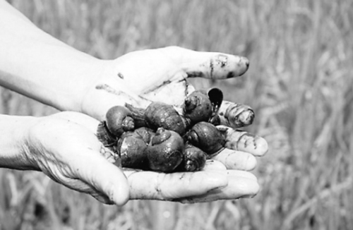 ���϶�����߅�؅^�⸣��������(�D)