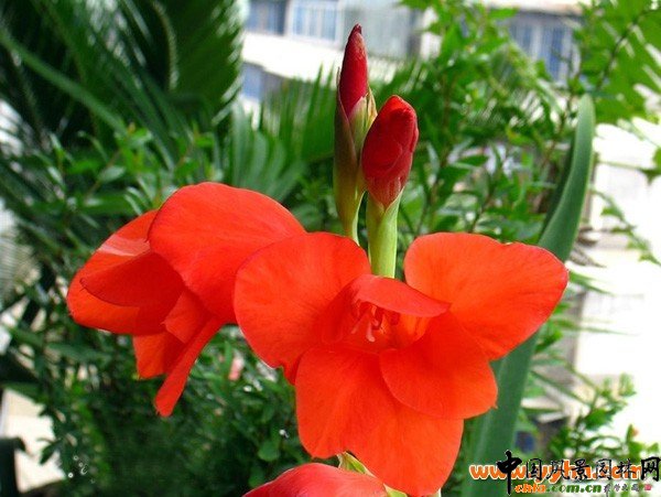 ���Ԅ��m�������ѣ��ļ�ͥ�B�o����