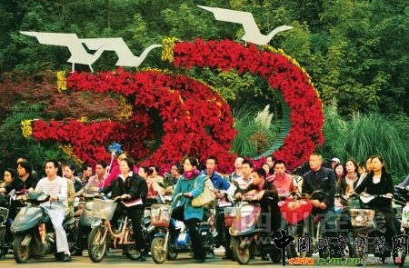 �Ĵ���50�f���r��������������D��