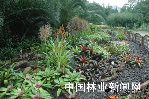 �P���߳��҃ȳ��Ϻ��G���������D��