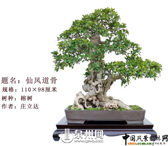 Ȫ�݃��辰�@�Ї��辰��(chu��ng)����ِ��(ji��ng)