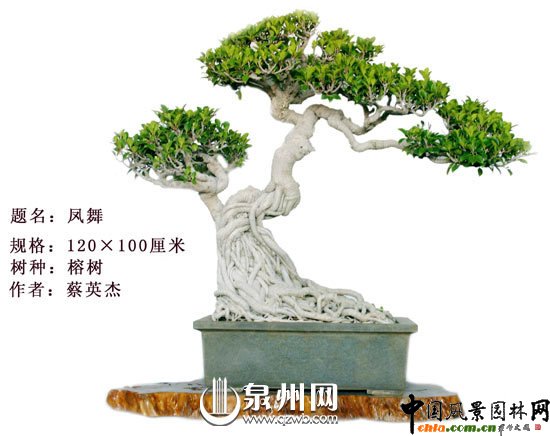 Ȫ�݃��辰�@�Ї��辰��(chu��ng)����ِ��(ji��ng)