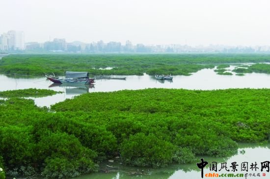 Ȫ�ݣ����(y��ng)���� �t�䞳�^(q��)�����箋