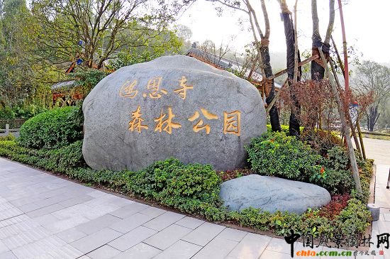 �ؑcԭҰ��Ʒ��������ɭ�ֹ��@(�M�D)