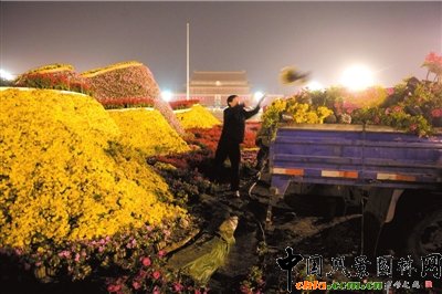 �찲�T�V�������xĻ