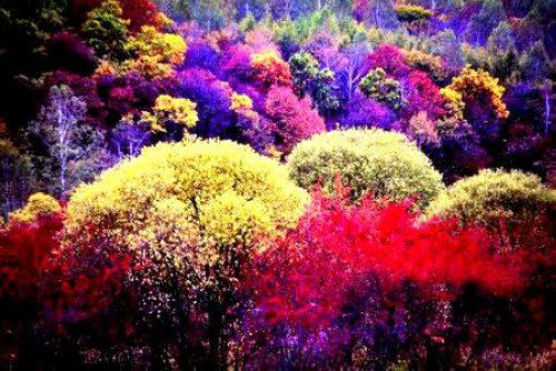 �L��ɽ�����L��