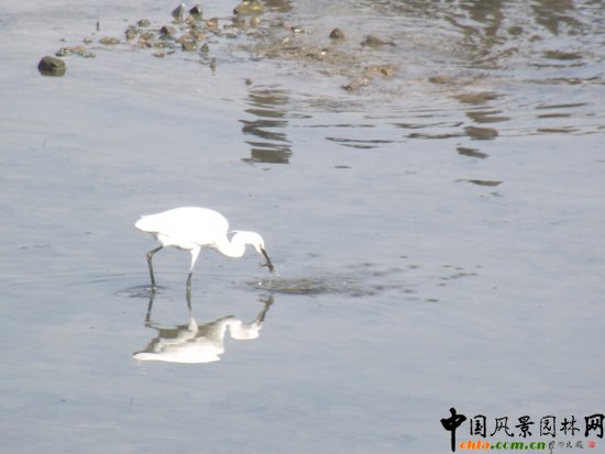 �����������@�ֳ��� ���B�҈@ �����ĺ� ���c��Ȼ 