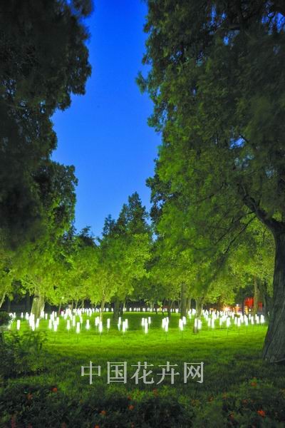 LED���^����Ҫ���������ˡ����D��