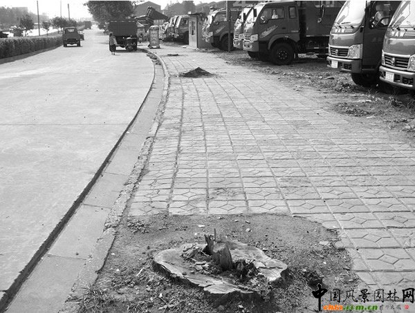 �G�ݣ������џ����^�������е��� 15����ͩ�⡰�ء�