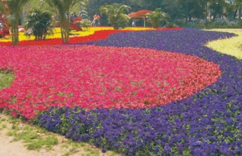 2010�������@���OӋ