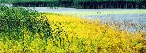 �hʯ������Ȼ���o�^