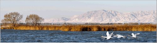 ��ʾ������ ����Ҏ��Ұ�������