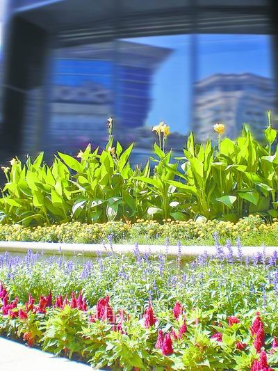 ���������˽��������ɱ��V�����ÏV