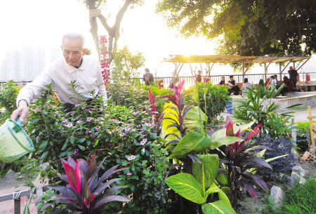 ��Ѯ���������� �������㹫�@��(�M�D)