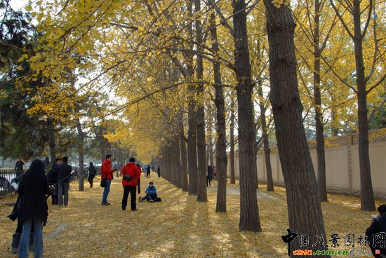 [�M�D]��~�_���e�^�����y���ֳɞ���T���c(di��n)