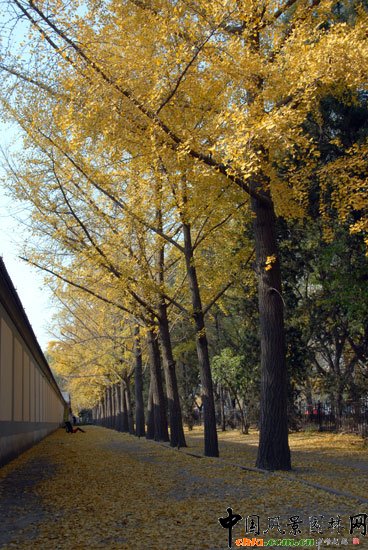 [�M�D]��~�_���e�^�����y���ֳɞ���T���c(di��n)