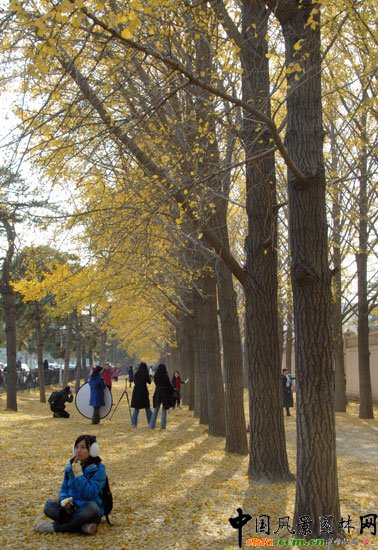 [�M�D]��~�_���e�^�����y���ֳɞ���T���c(di��n)