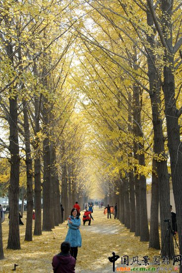 [�M�D]��~�_���e�^�����y���ֳɞ���T���c(di��n)