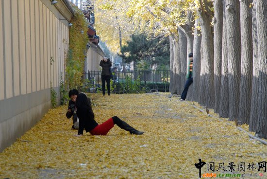 [�M�D]��~�_���e�^�����y���ֳɞ���T���c(di��n)