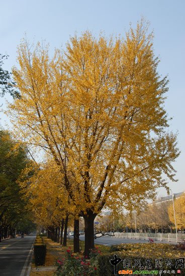 [�M�D]��~�_���e�^�����y���ֳɞ���T���c