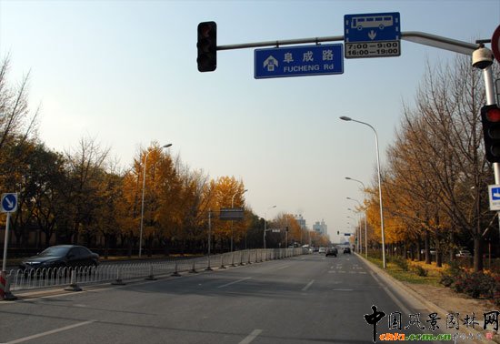 [�M�D]��~�_���e�^�����y���ֳɞ���T���c