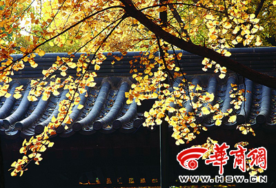 �����������y�����~���L��� ���ݷQĿǰ�в�ͨ