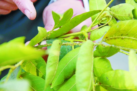 ���ݼt��·�����x�ǵ��е�����¡����͡�