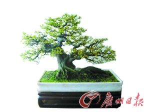 �q������