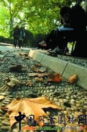 �Ϻ������o���@���هLԇ������ͩ���~