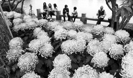 �ջ�չ�ϵľջ��������� �������@��(n��i)���^����(d��ng)