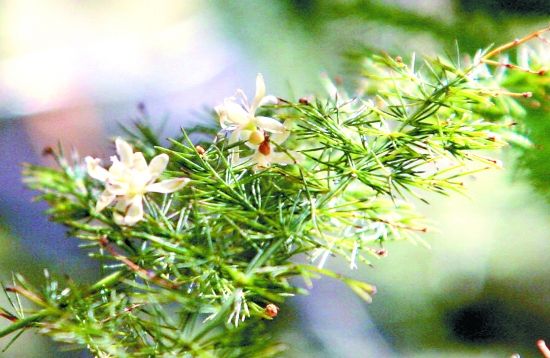 �������� ��(sh��)��Ż��_(�D)