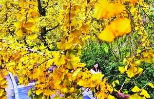 ��ɫ�y���~���n����