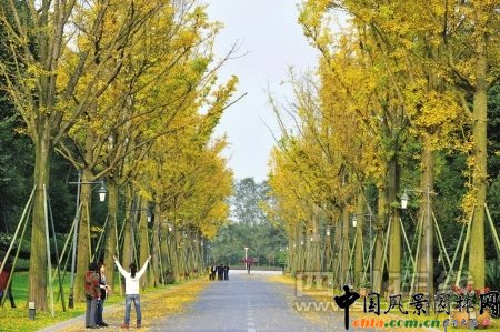 ���񱻽�����@�y�Ӵ����N�N���y�Ә��~����