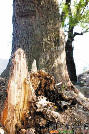 �������lΣ�ĹŘ���ľ�l(shu��)��(l��i)�B(y��ng)�o(h��)��