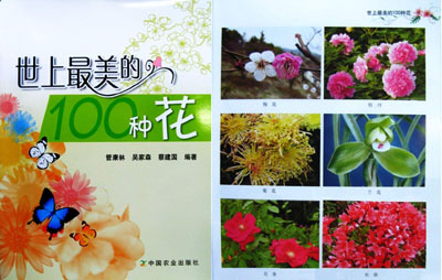 ������������100�N����